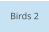 Birds 2